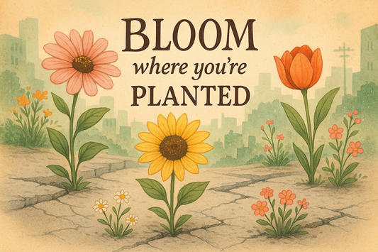 🌱 Bloom Where You’re Planted